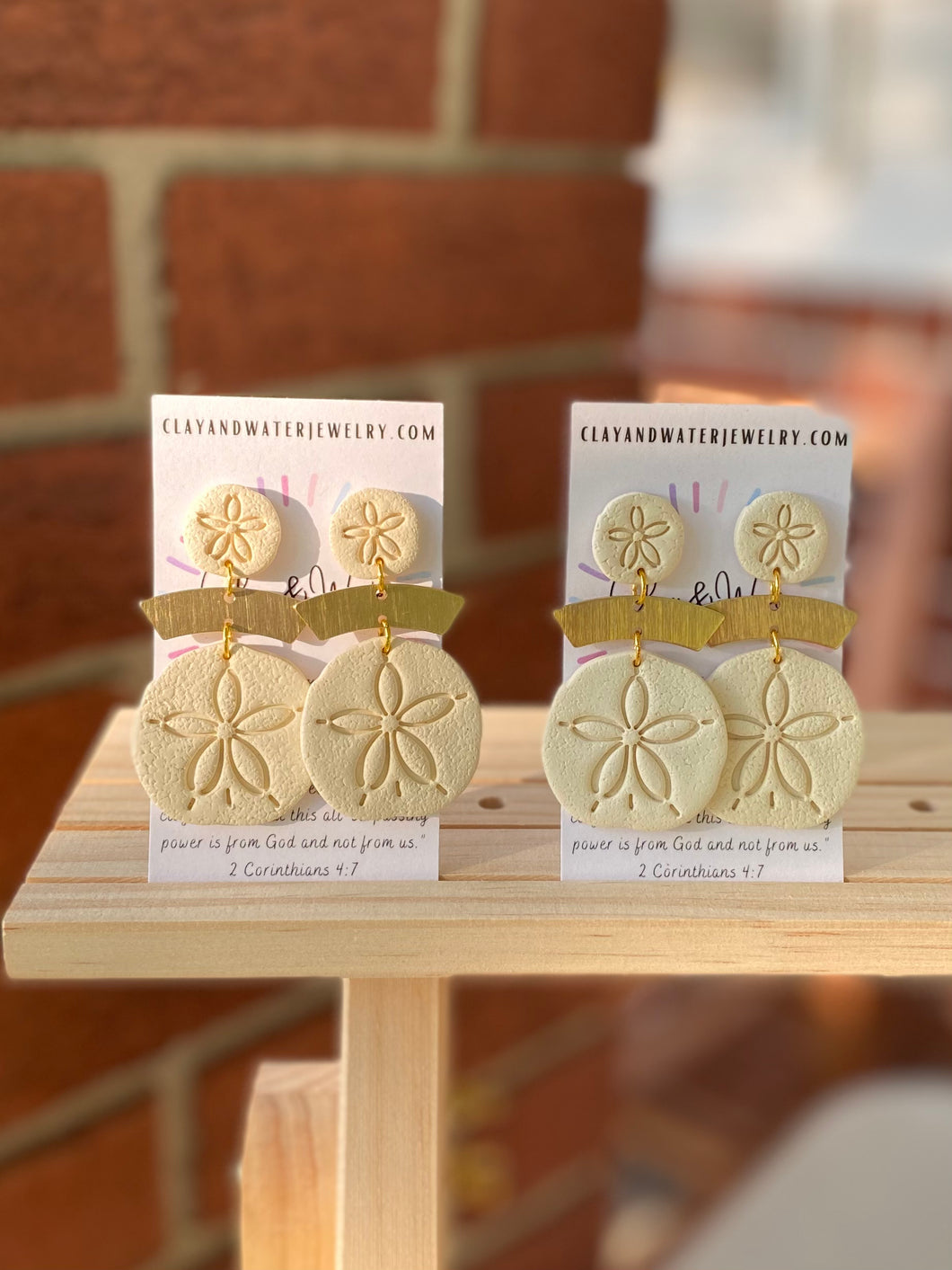 The Sand Dollar Collection - Sand Dollars & Gold Brass